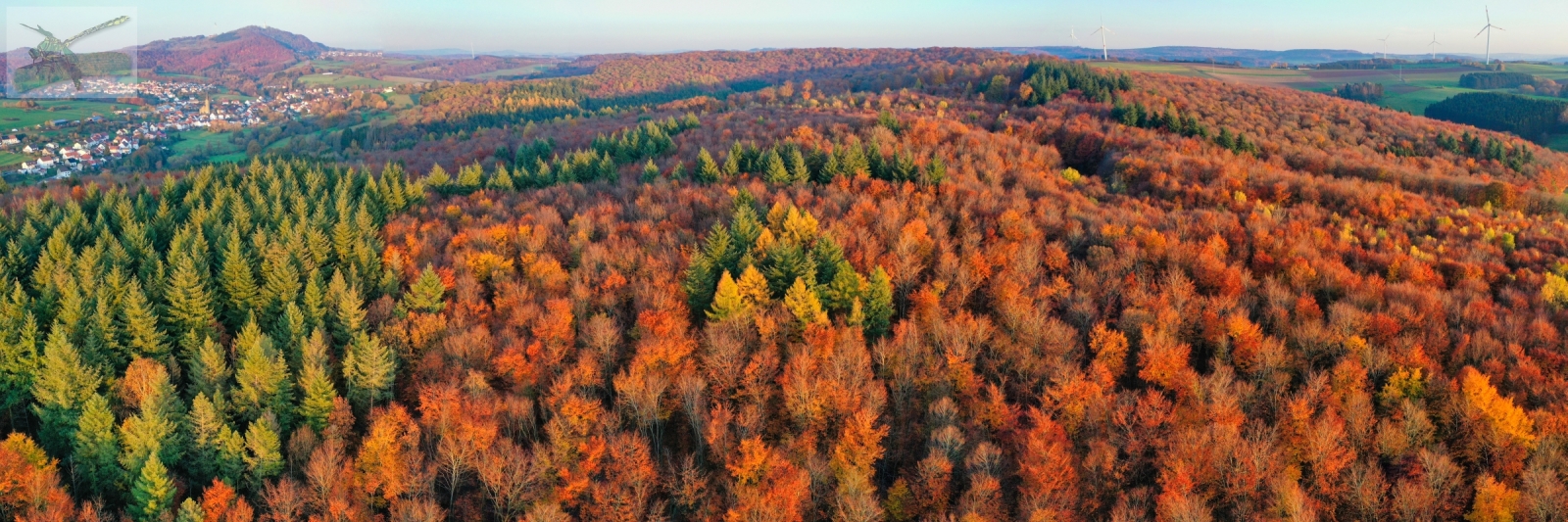 16Nov19-EngscheiderWald-Pan675